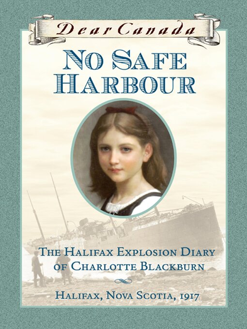 Cover image for No Safe Harbour